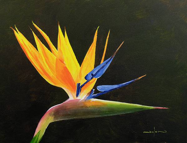 how to paint a bird of paradise flower
