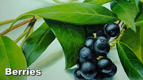 how to paint realistic berries still life
