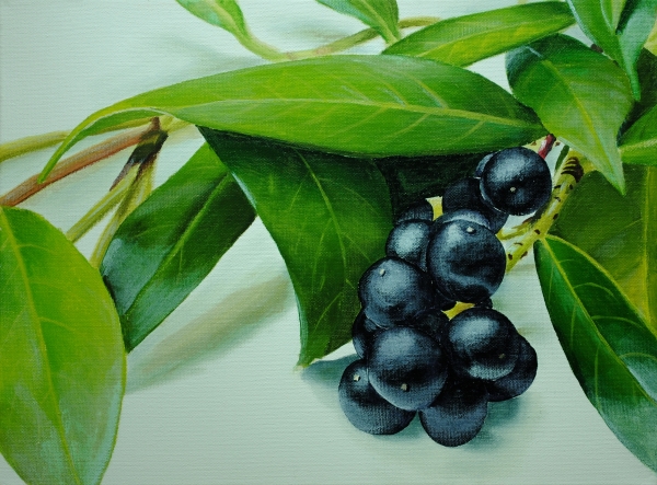berry painting tutorial