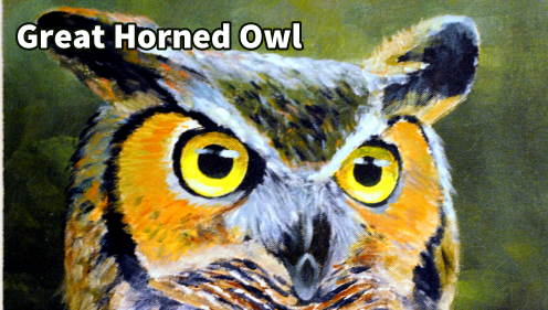 horned owl