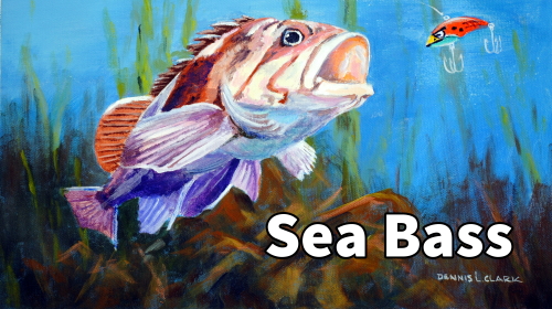sea bass