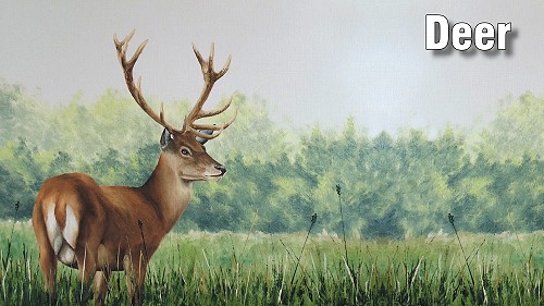 how to paint a deer in oil