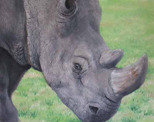 how to paint a rhino