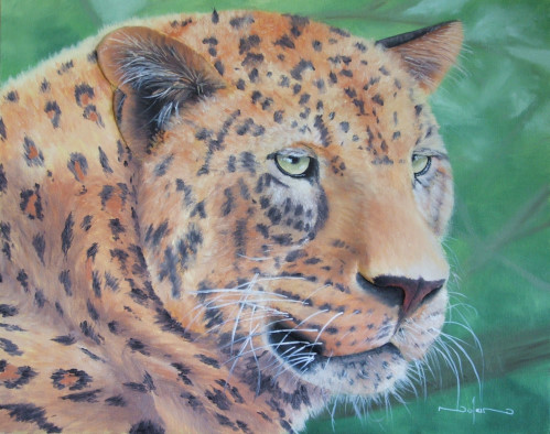 how to paint the big 5 animals - leopard
