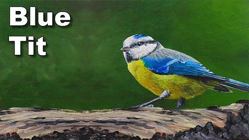 how to paint birds blue tit