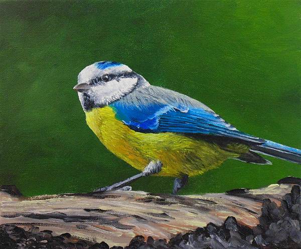 bird painting tutorial oil
