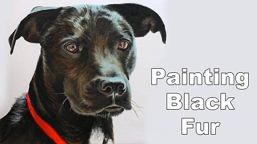 how to paint black hair dog cat fur
