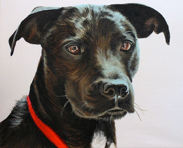 how to paint black hair animals dogs cats cows fur
