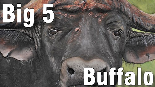 how to paint big five buffalo oil