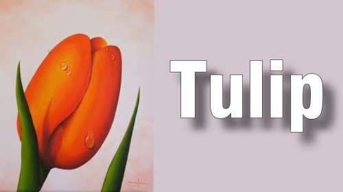 how to paint tulip oil