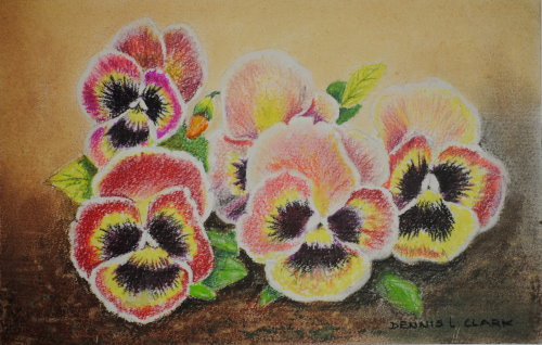 pansy faces