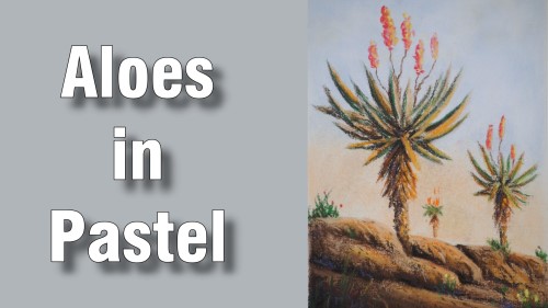 how to draw aloes pastel