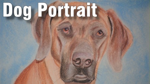 how to draw dog portrait pastel