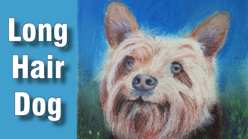 how to draw long hair dog pastel