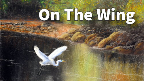 on the wing