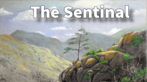sentinal