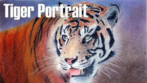 tiger portrait