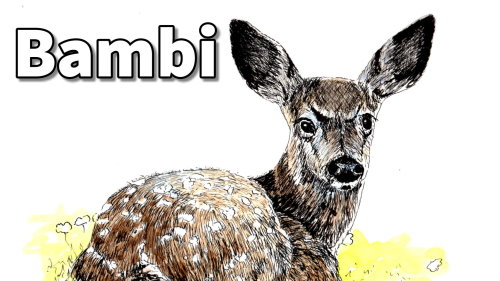 Bambi
