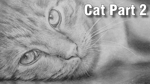 how to draw cats