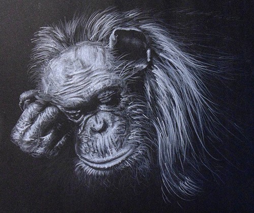 how to draw a monkey
