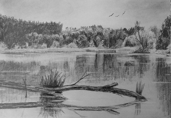 how to draw reflections in water