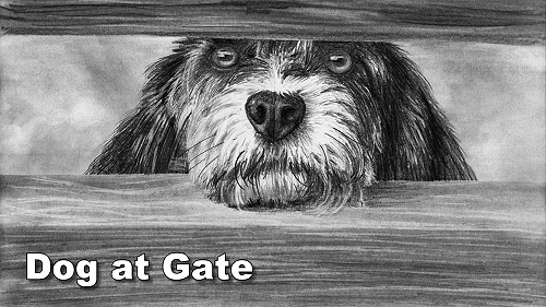 how to draw a dog at the gate