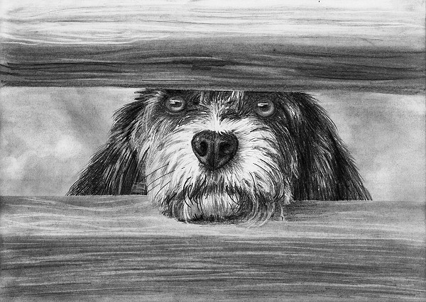 dog drawing tutorial