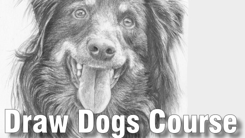 draw dogs course pencil