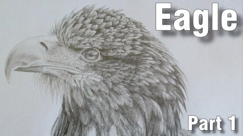 how to draw eagle pencil