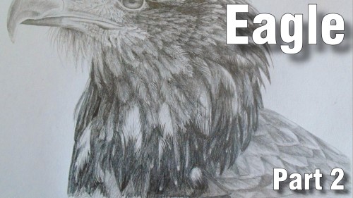 how to draw eagle pencil