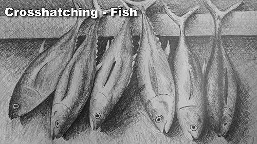 how to crosshatch fish draw fish