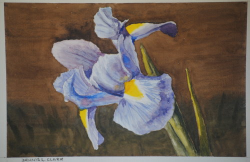 iris flower