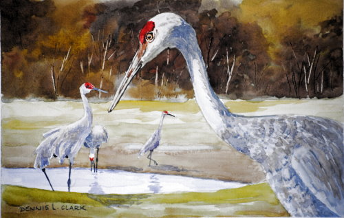 red crested cranes