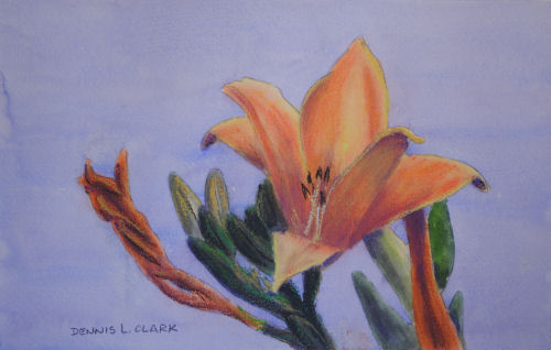 Day lily_pastel