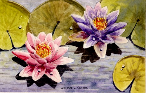 waterlilies 2