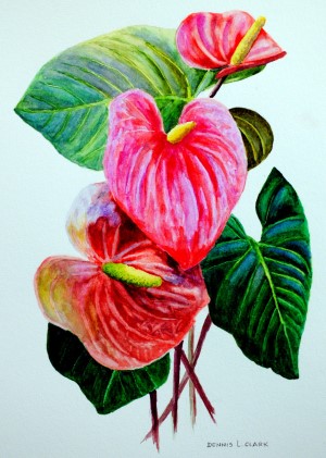 how to paint anthuriums in watercolor