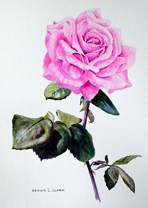 realistic watercolor flower painting tutorial - rose
