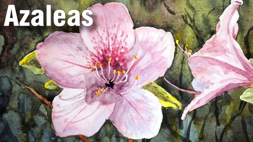 how to paint azaleas watercolour