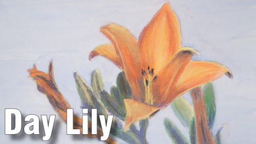 how to paint day lily watercolour