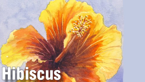 how to paint hibiscus watercolour