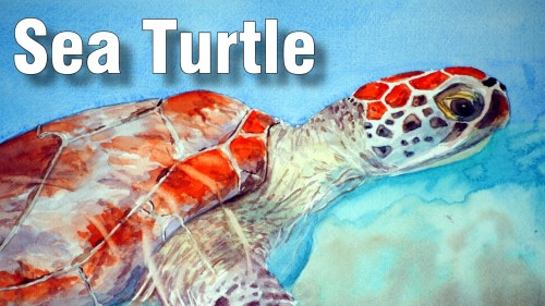 how to paint sea turtle watercolour