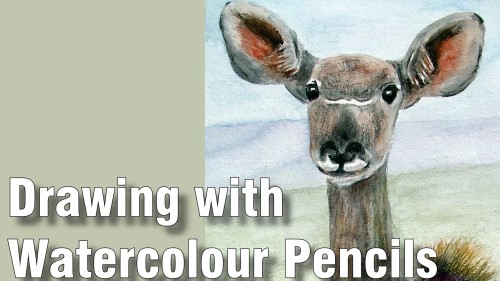 how to draw with watercolour pencils watercolour